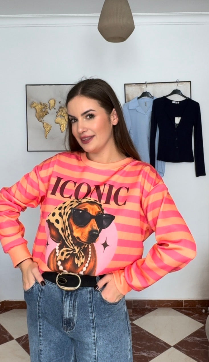 Sudadera iconic