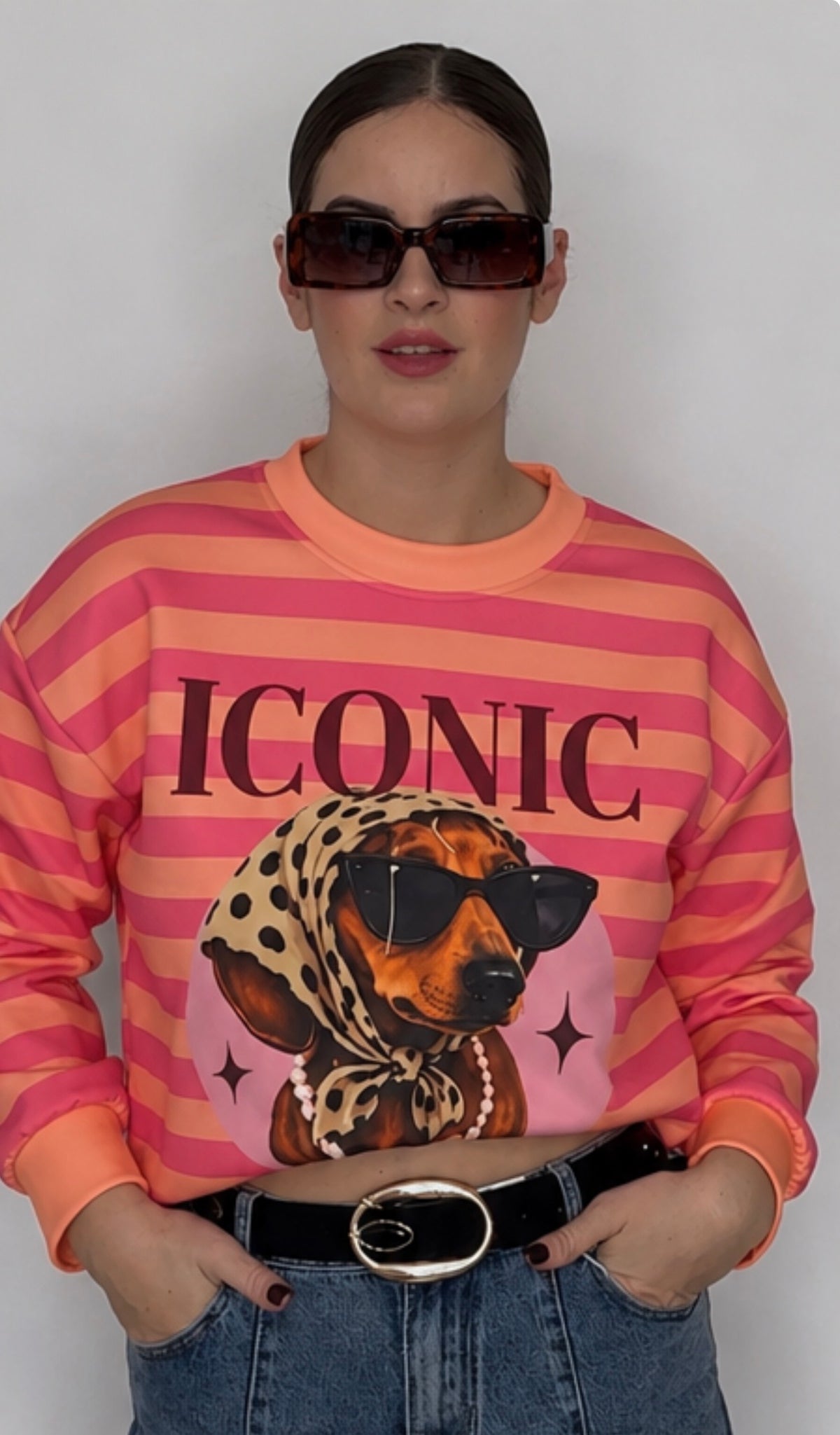 Sudadera iconic