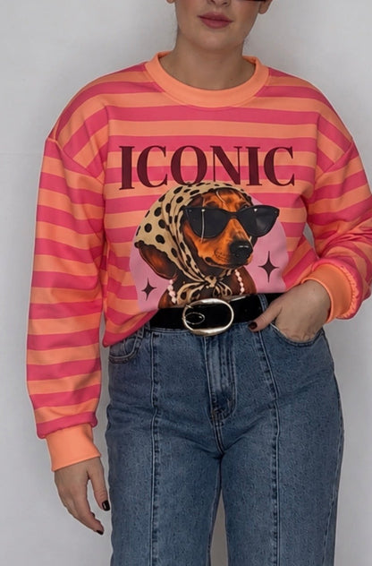 Sudadera iconic