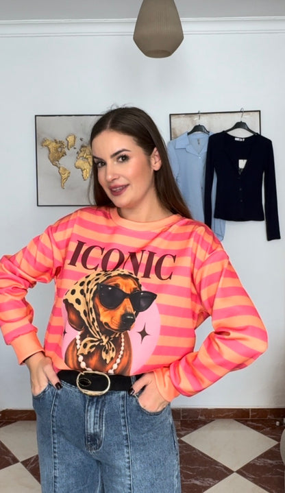 Sudadera iconic
