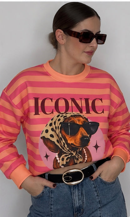Sudadera iconic